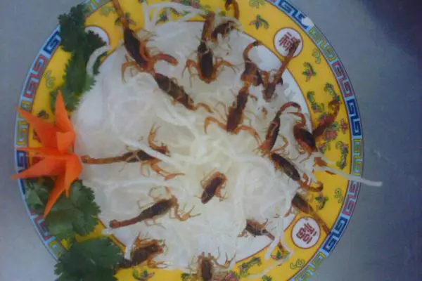 食材菜谱图