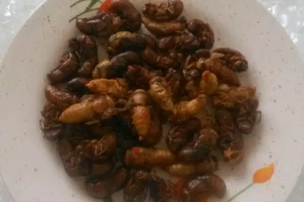 食材菜谱图