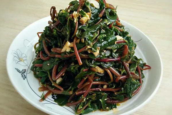 凉拌马齿苋