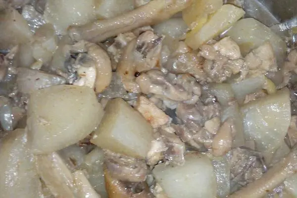萝卜焖鸡