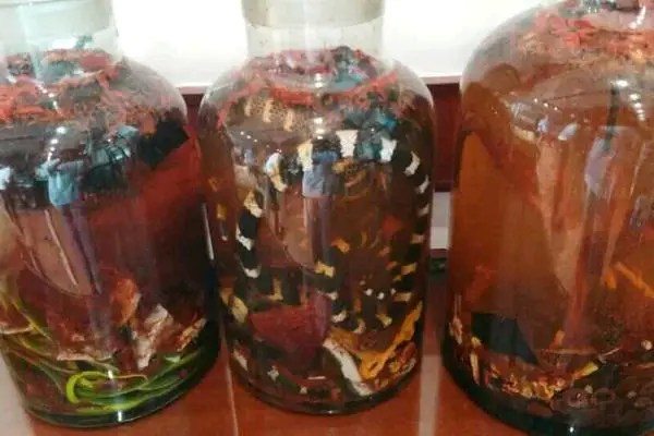 蛇酒