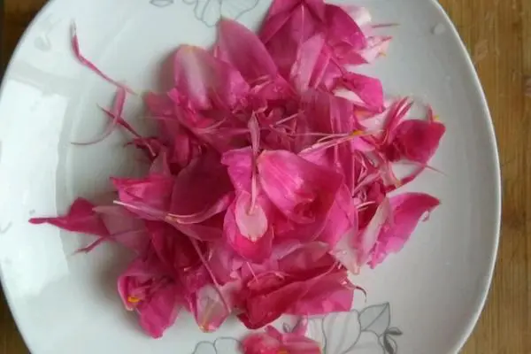 食材菜谱图