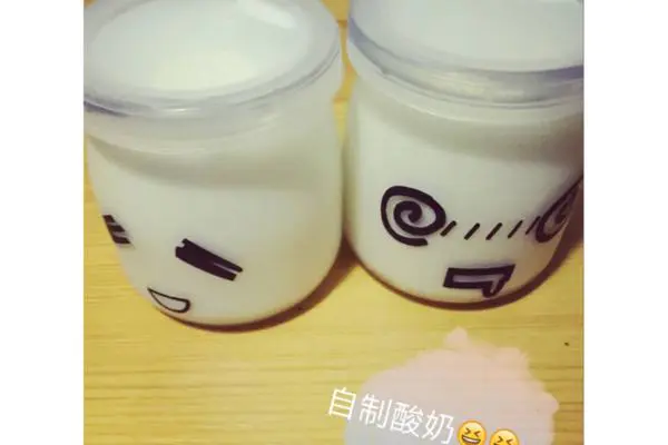 自制老酸奶