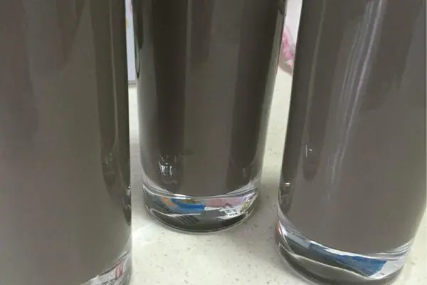黑豆核桃黑芝麻豆浆