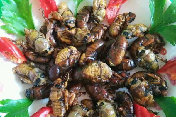 食材菜谱图
