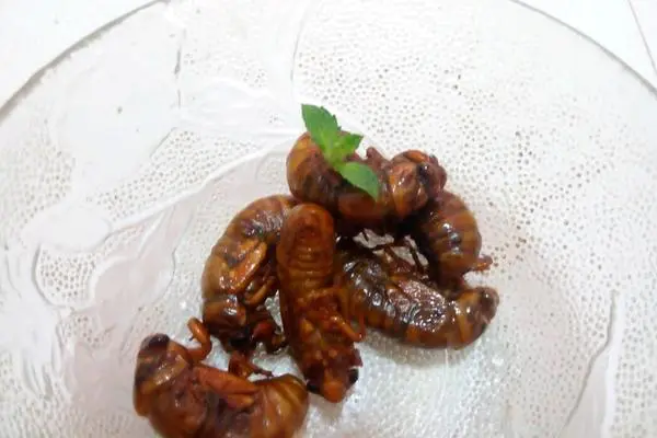 食材菜谱图