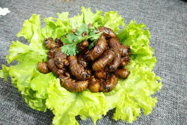 食材菜谱图