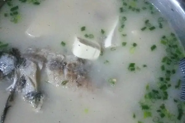 面鱼儿