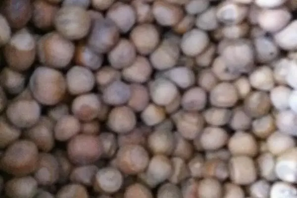 速烤榛子