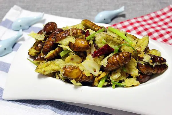 食材菜谱图