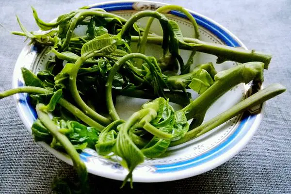 爆腌香椿