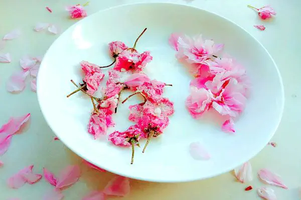 食材菜谱图
