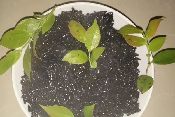食材菜谱图