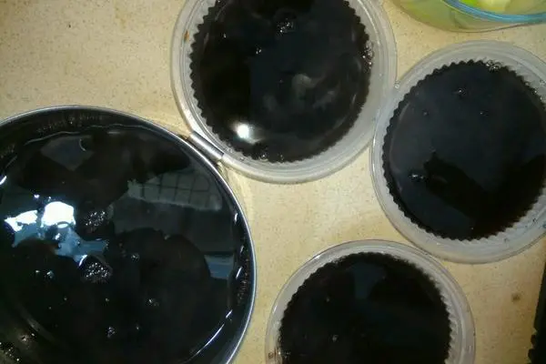 龟苓膏