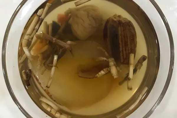 茅根竹蔗水