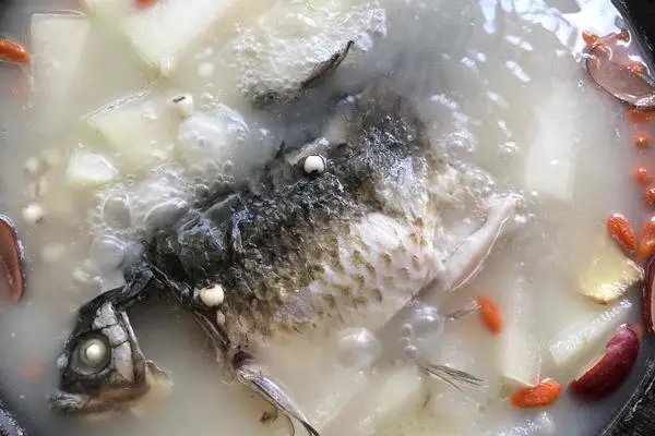 薏米冬瓜鲫鱼汤