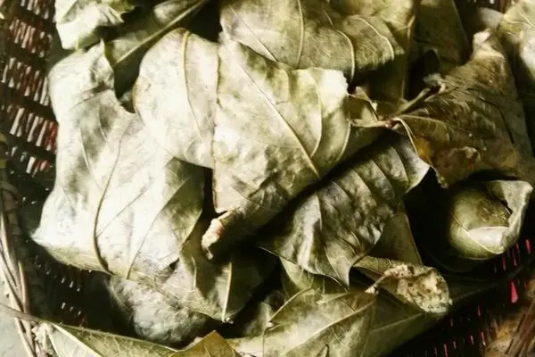 苦荞粑