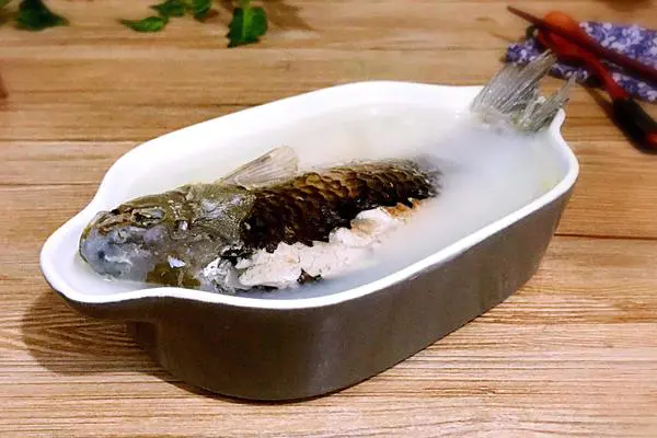 通草炖鲫鱼