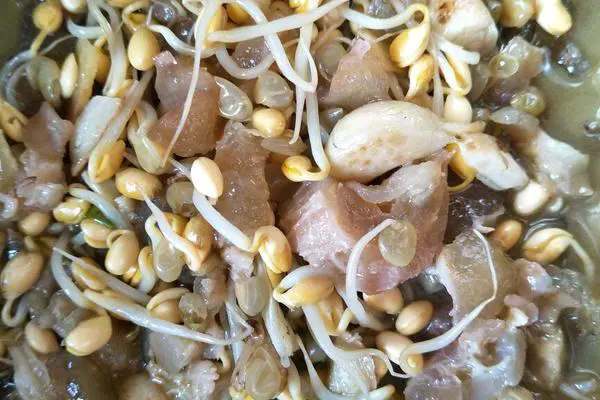 牛筋烩豆芽