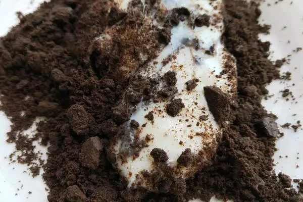 鲜奶麻薯