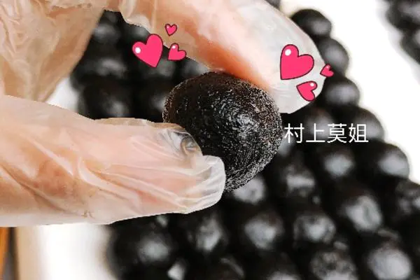 九蒸九晒黑芝麻丸补肾防脱黑发