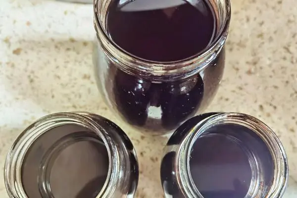 桑椹膏