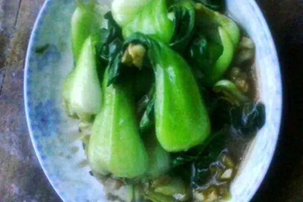 耗油油菜