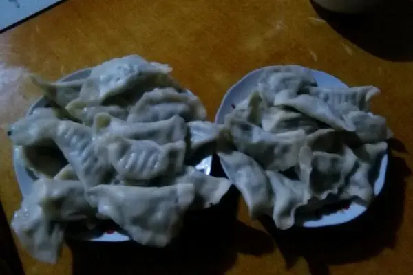 茄子香菜猪肉饺子