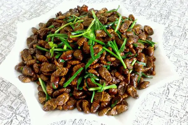食材菜谱图