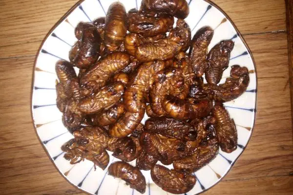 食材菜谱图