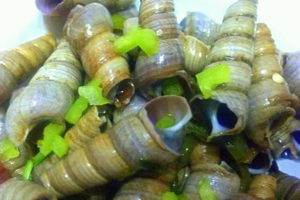 辣炝海锥