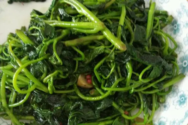 清炒苕尖