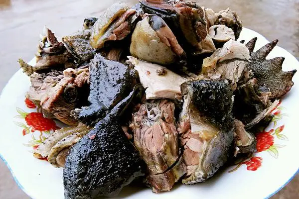食材菜谱图