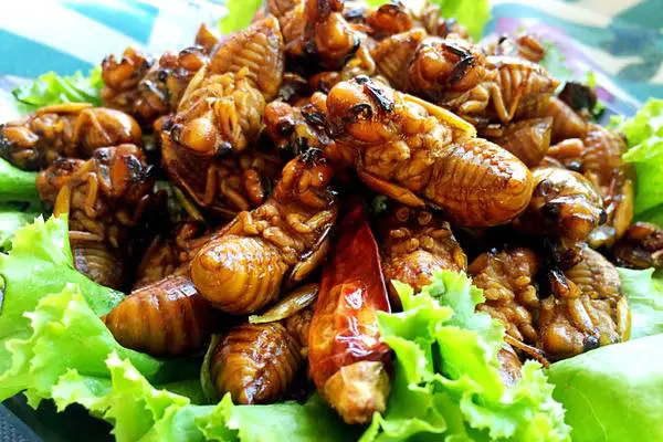食材菜谱图