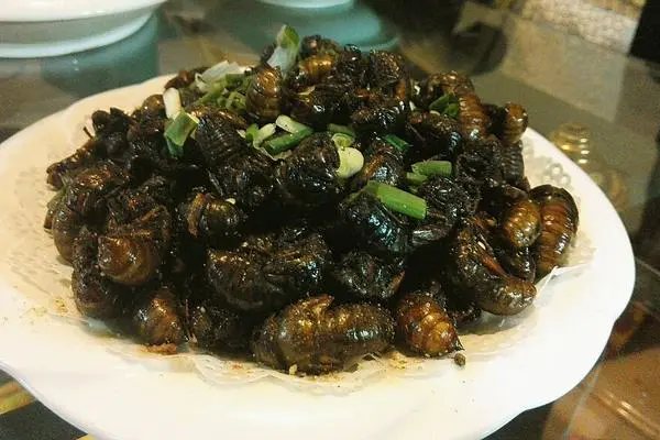 食材菜谱图