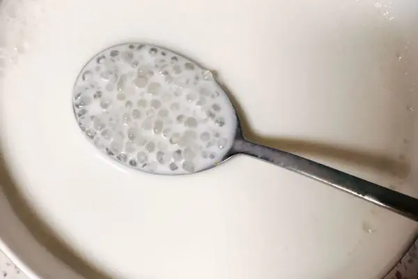 椰奶西米露