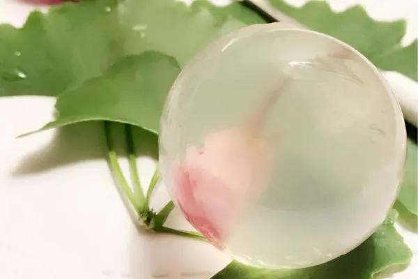 水信玄月