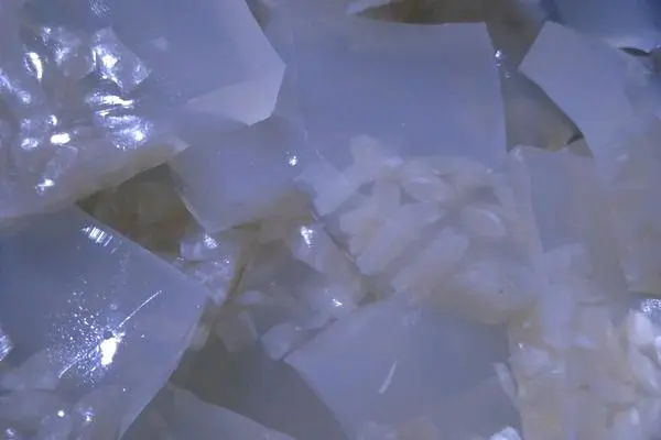 自制皮冻