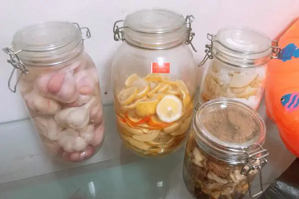 酵素