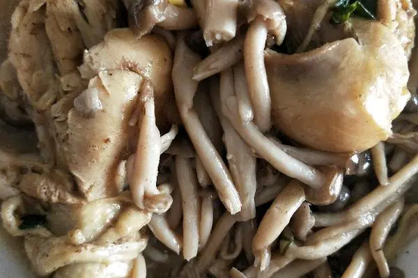 小蘑菇炖鸡腿