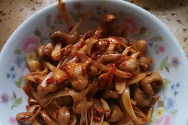 酸辣肥肠