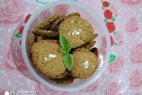 燕麦片酥饼