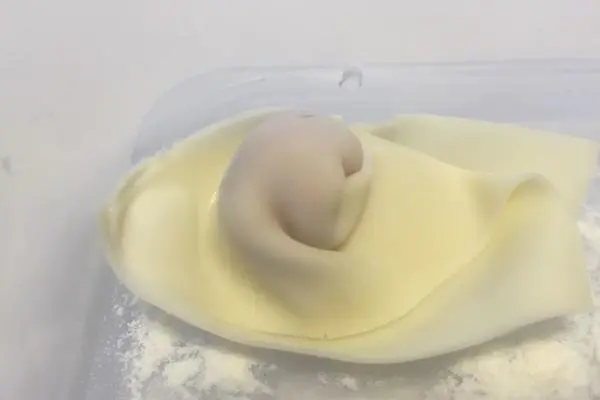 馄饨