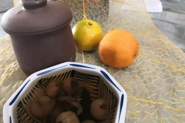 石斛灵芝汤
