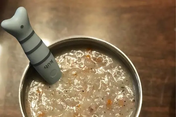 宝宝辅食（胡萝卜牛肉粥）