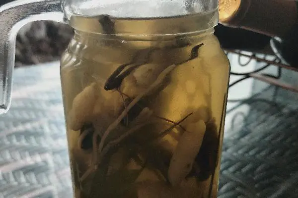 宝宝做噩梦清热汤