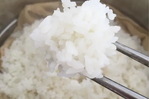 蒸笼大米饭