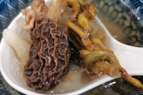 羊肚菌炖肉汁