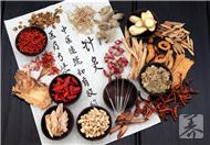 什么药泡酒可以壮阳补肾