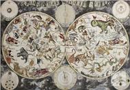 生肖蛇住宅风水